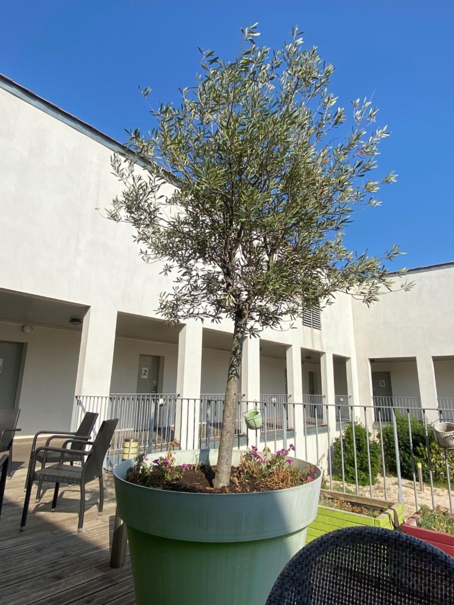 Hotel Douce France à Cuxac-dʼAude Extérieur photo